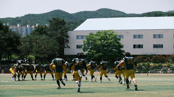 Transforming uk real estate: enhancing property purchases through immersive virtual tours