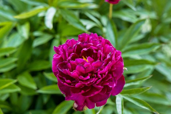 Transform Your Personal Yoga Studio: Creative Ways to Embrace Eco-Friendly Materials